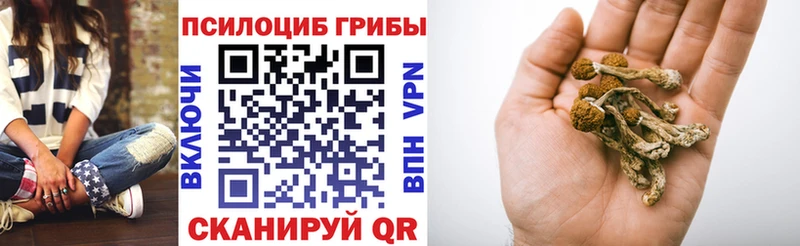 Псилоцибиновые грибы мухоморы Купить Кочубеевское